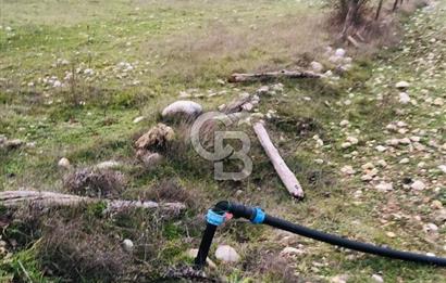 CB GİZ'DEN KAŞ ÇAMLIOVA'DA SATILIK 4240 M2 TARLA