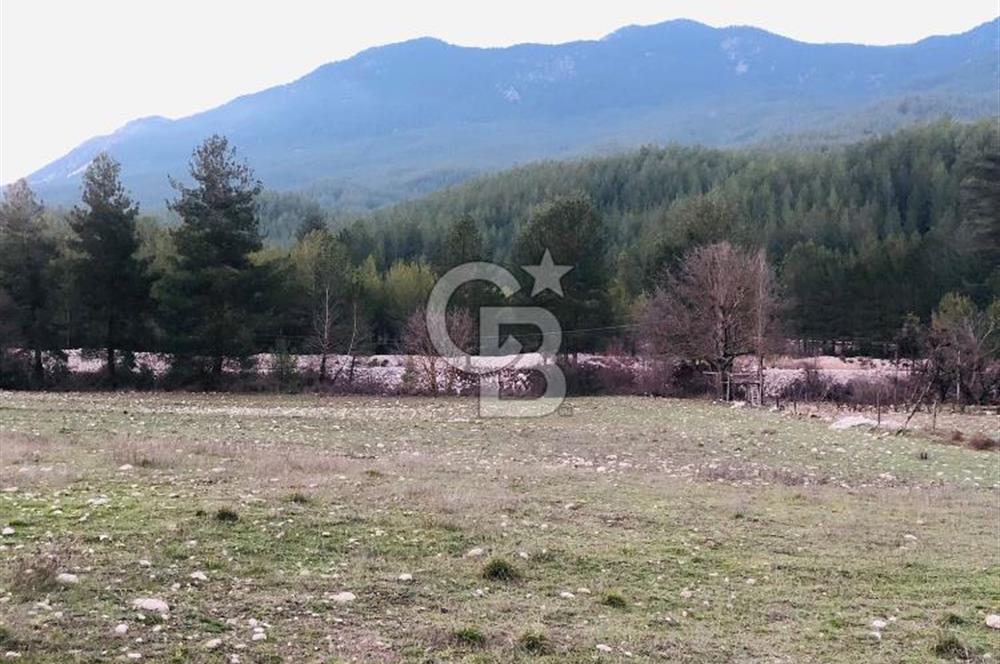 CB GİZ'DEN KAŞ ÇAMLIOVA'DA SATILIK 4240 M2 TARLA