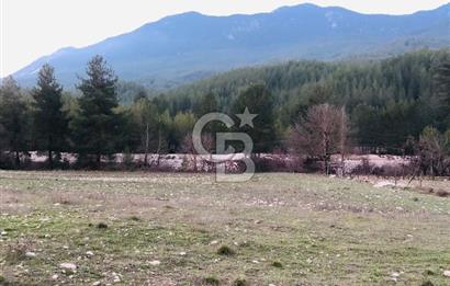 CB GİZ'DEN KAŞ ÇAMLIOVA'DA SATILIK 4240 M2 TARLA