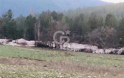 CB GİZ'DEN KAŞ ÇAMLIOVA'DA SATILIK 4240 M2 TARLA