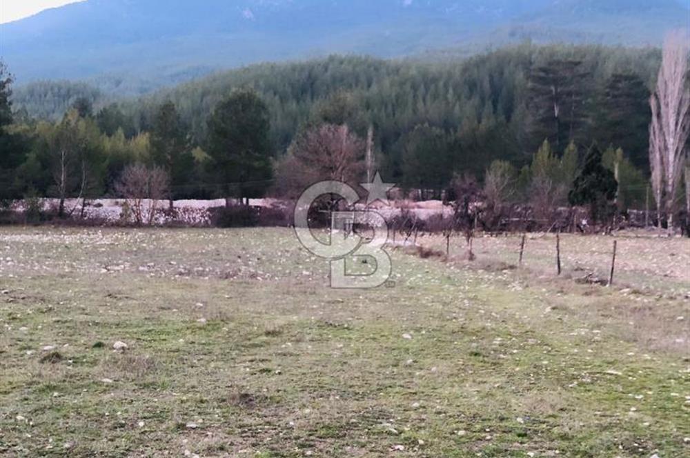 CB GİZ'DEN KAŞ ÇAMLIOVA'DA SATILIK 4240 M2 TARLA