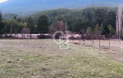 CB GİZ'DEN KAŞ ÇAMLIOVA'DA SATILIK 4240 M2 TARLA