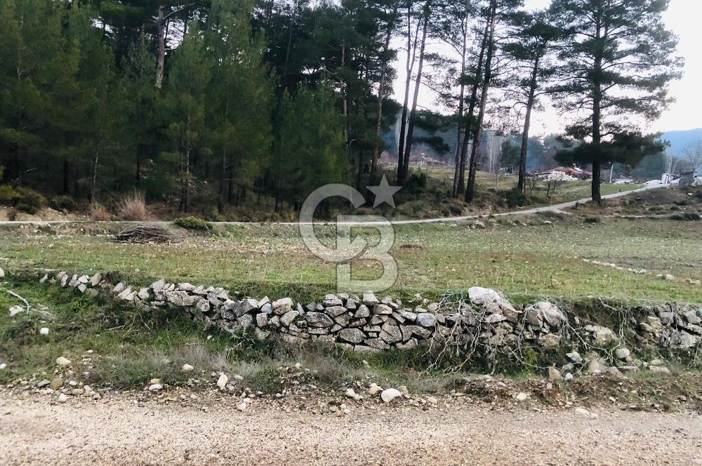 CB GİZ'DEN KAŞ ÇAMLIOVA'DA SATILIK 4240 M2 TARLA