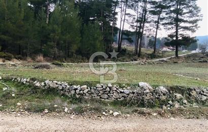 CB GİZ'DEN KAŞ ÇAMLIOVA'DA SATILIK 4240 M2 TARLA