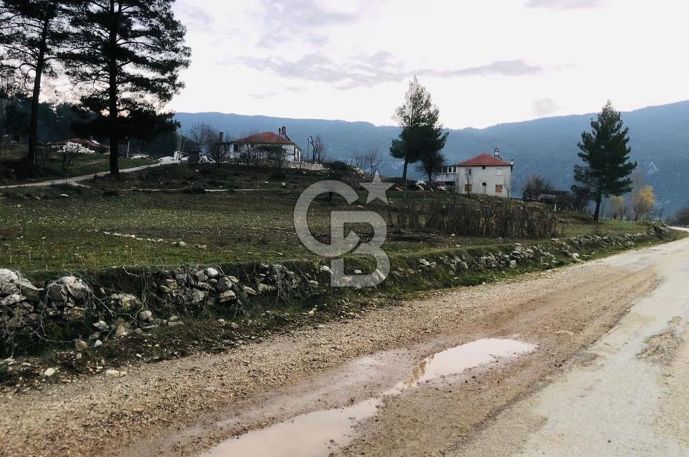 CB GİZ'DEN KAŞ ÇAMLIOVA'DA SATILIK 4240 M2 TARLA