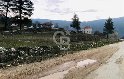 CB GİZ'DEN KAŞ ÇAMLIOVA'DA SATILIK 4240 M2 TARLA