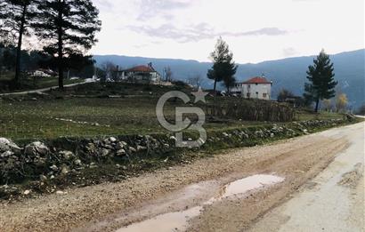 CB GİZ'DEN KAŞ ÇAMLIOVA'DA SATILIK 4240 M2 TARLA