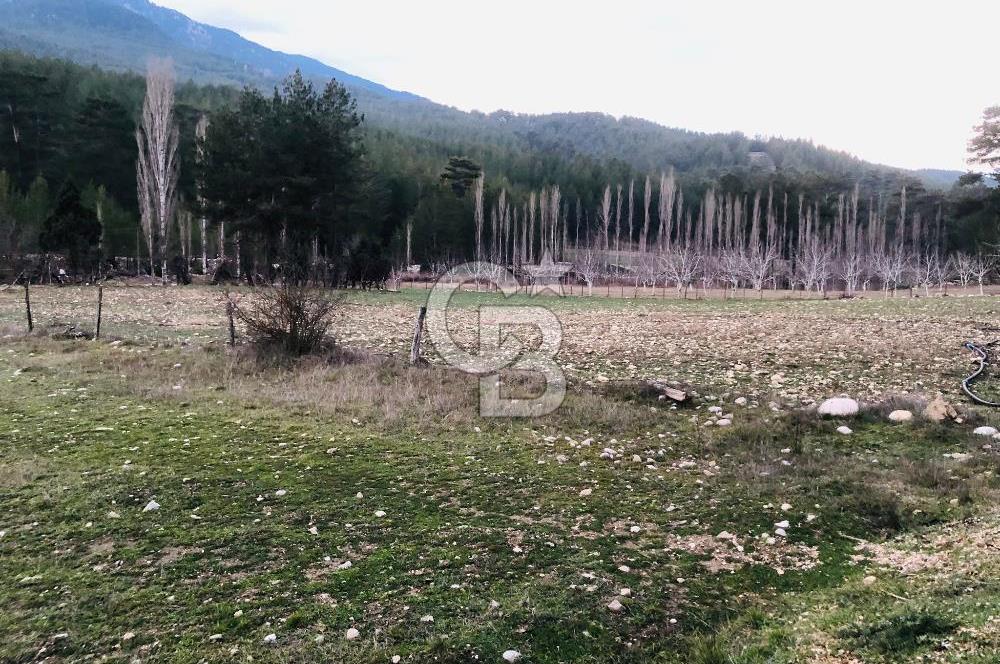 CB GİZ'DEN KAŞ ÇAMLIOVA'DA SATILIK 4240 M2 TARLA