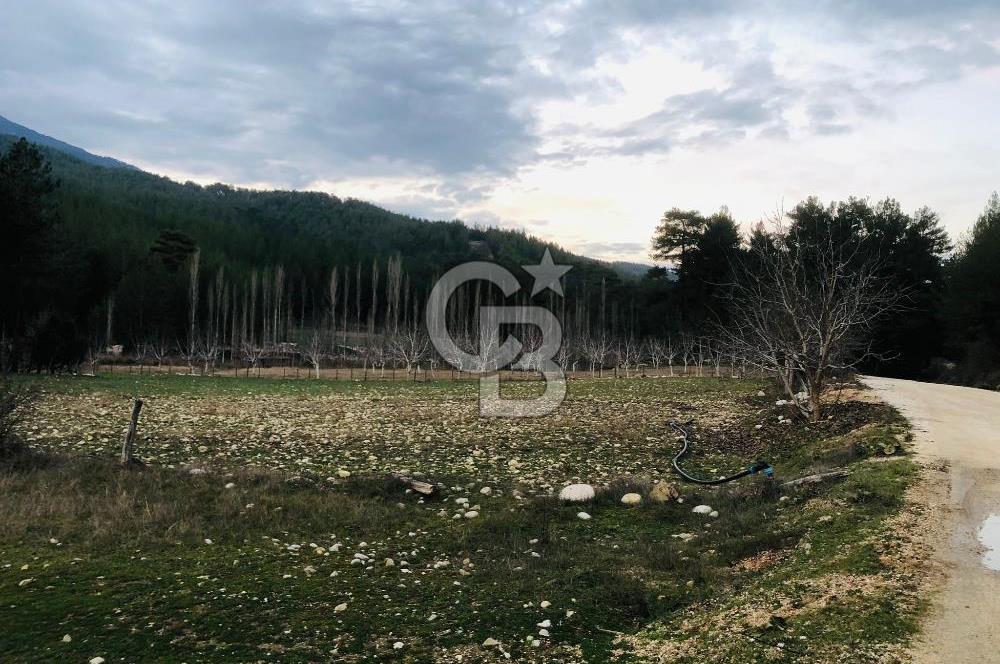 CB GİZ'DEN KAŞ ÇAMLIOVA'DA SATILIK 4240 M2 TARLA