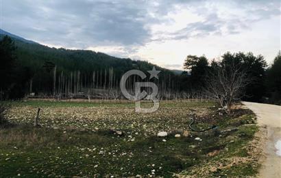 CB GİZ'DEN KAŞ ÇAMLIOVA'DA SATILIK 4240 M2 TARLA