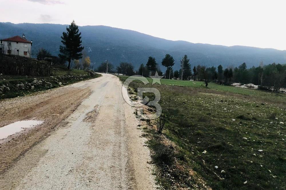 CB GİZ'DEN KAŞ ÇAMLIOVA'DA SATILIK 4240 M2 TARLA