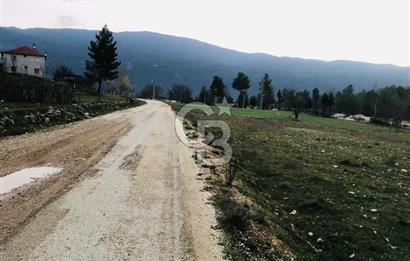 CB GİZ'DEN KAŞ ÇAMLIOVA'DA SATILIK 4240 M2 TARLA