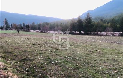 CB GİZ'DEN KAŞ ÇAMLIOVA'DA SATILIK 4240 M2 TARLA