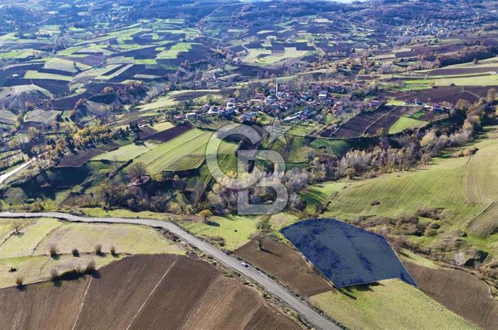 Sarıtaş'ta İmar Sınırında Satılık Tarla