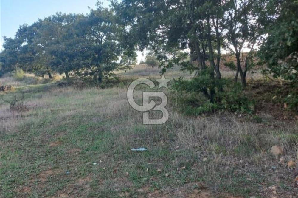 ÇANAKKALE ÇAN KOCAYAYLA SATILIK TARLA