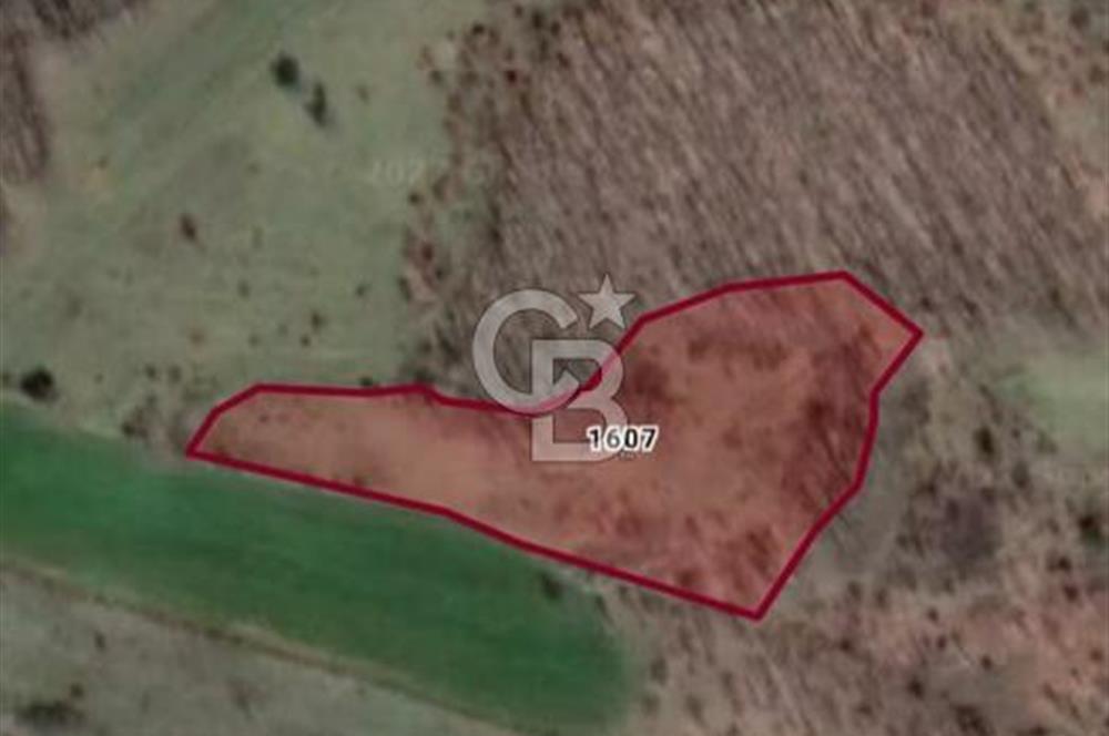 ÇANAKKALE ÇAN KOCAYAYLA SATILIK TARLA