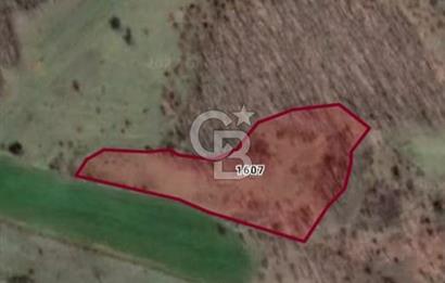 ÇANAKKALE ÇAN KOCAYAYLA SATILIK TARLA