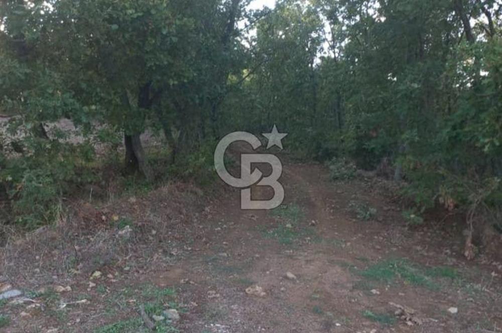 ÇANAKKALE ÇAN KOCAYAYLA SATILIK TARLA