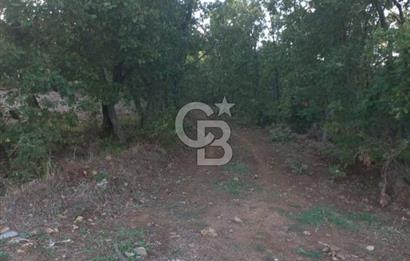 ÇANAKKALE ÇAN KOCAYAYLA SATILIK TARLA