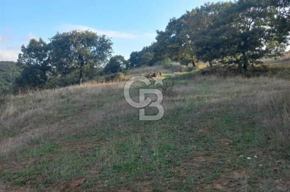 ÇANAKKALE ÇAN KOCAYAYLA SATILIK TARLA