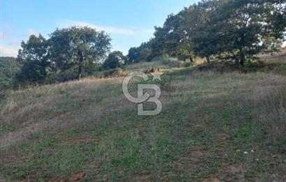 ÇANAKKALE ÇAN KOCAYAYLA SATILIK TARLA