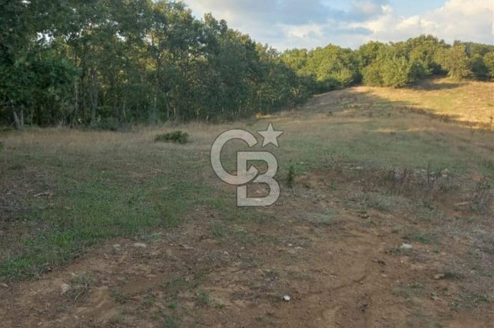 ÇANAKKALE ÇAN KOCAYAYLA SATILIK TARLA