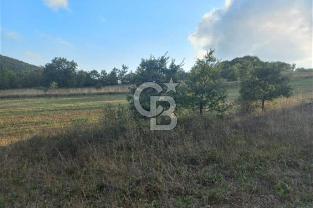 ÇANAKKALE ÇAN KOCAYAYLA SATILIK TARLA