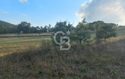 ÇANAKKALE ÇAN KOCAYAYLA SATILIK TARLA