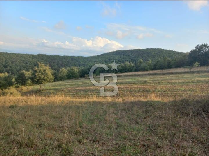 ÇANAKKALE ÇAN KOCAYAYLA SATILIK TARLA