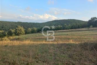 ÇANAKKALE ÇAN KOCAYAYLA SATILIK TARLA - 4 - 325566