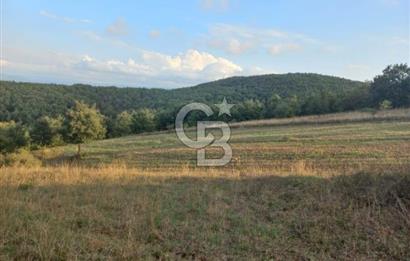 ÇANAKKALE ÇAN KOCAYAYLA SATILIK TARLA