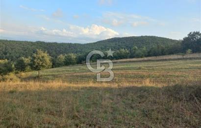 ÇANAKKALE ÇAN KOCAYAYLA SATILIK TARLA