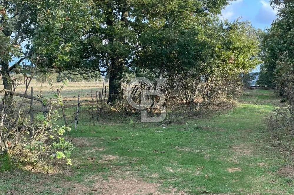 ÇANAKKALE ÇAN KOCAYAYLA SATILIK TARLA