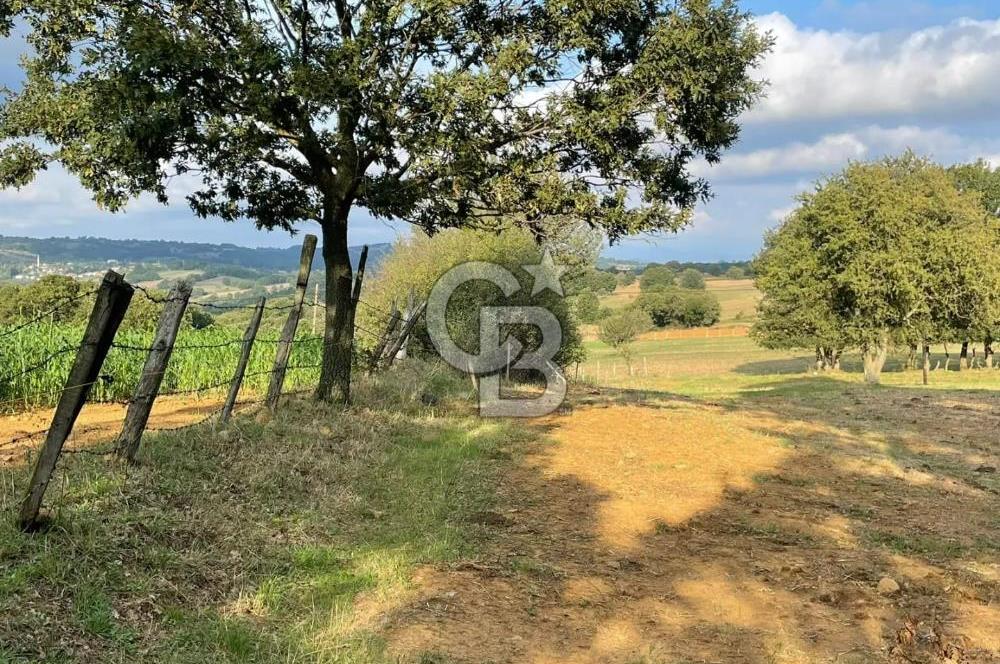 ÇANAKKALE ÇAN KOCAYAYLA SATILIK TARLA