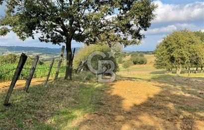 ÇANAKKALE ÇAN KOCAYAYLA SATILIK TARLA