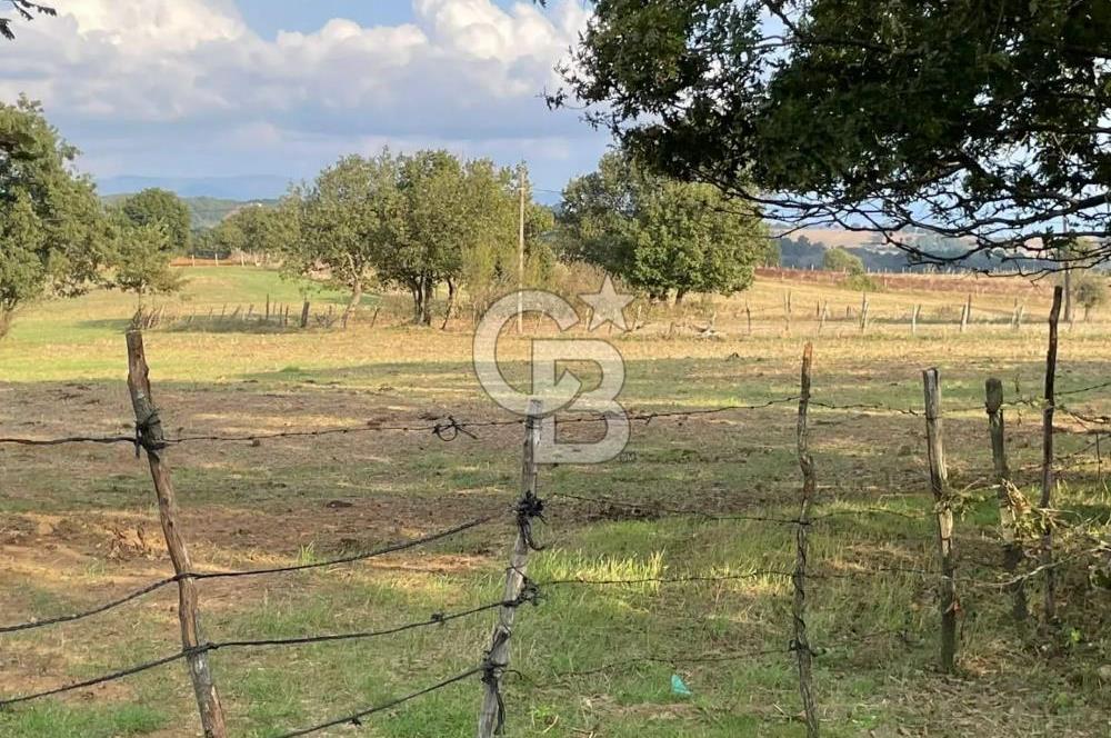 ÇANAKKALE ÇAN KOCAYAYLA SATILIK TARLA