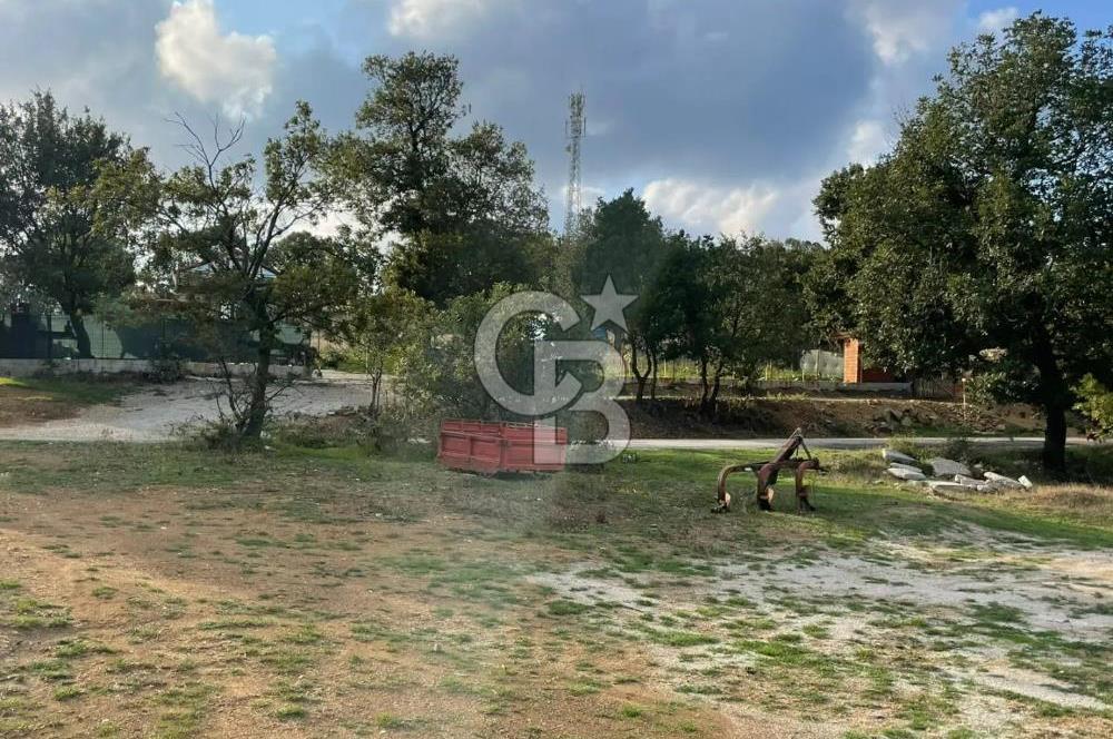 ÇANAKKALE ÇAN KOCAYAYLA SATILIK TARLA