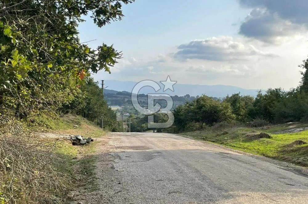 ÇANAKKALE ÇAN KOCAYAYLA SATILIK TARLA