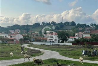 ÇANAKKALE ÇAN KOCAYAYLA SATILIK TARLA - 3 - 325593