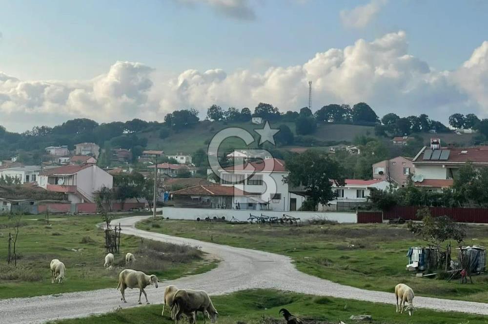 ÇANAKKALE ÇAN KOCAYAYLA SATILIK TARLA
