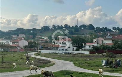 ÇANAKKALE ÇAN KOCAYAYLA SATILIK TARLA