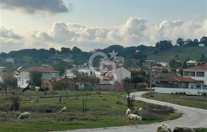 ÇANAKKALE ÇAN KOCAYAYLA SATILIK TARLA