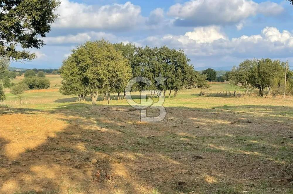 ÇANAKKALE ÇAN KOCAYAYLA SATILIK TARLA