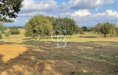 ÇANAKKALE ÇAN KOCAYAYLA SATILIK TARLA