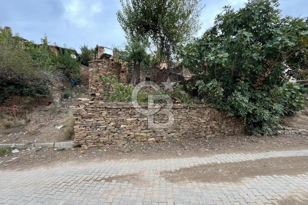 İzmir Bayındır Söğütören Satılık Taş Ev Ve Arsası