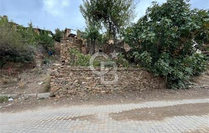 İzmir Bayındır Söğütören Satılık Taş Ev Ve Arsası