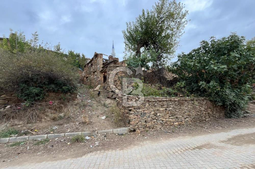 İzmir Bayındır Söğütören Satılık Taş Ev Ve Arsası