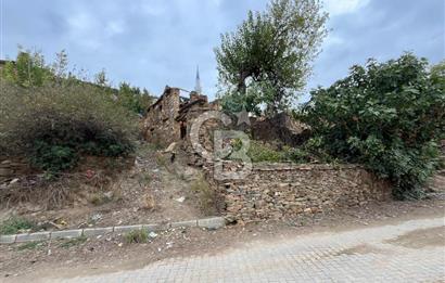 İzmir Bayındır Söğütören Satılık Taş Ev Ve Arsası