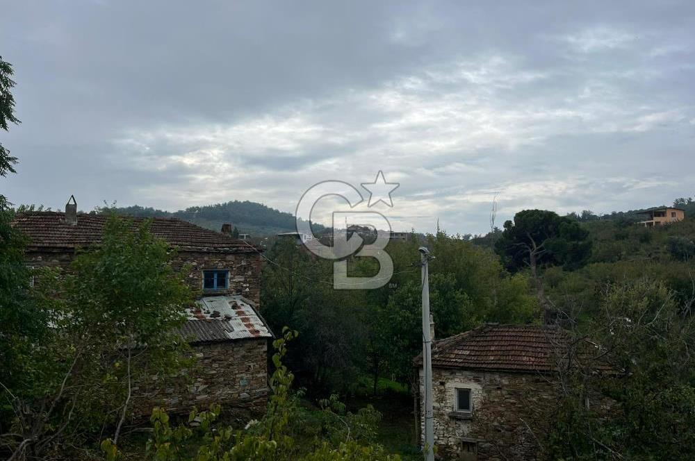 İzmir Bayındır Söğütören Satılık Taş Ev Ve Arsası