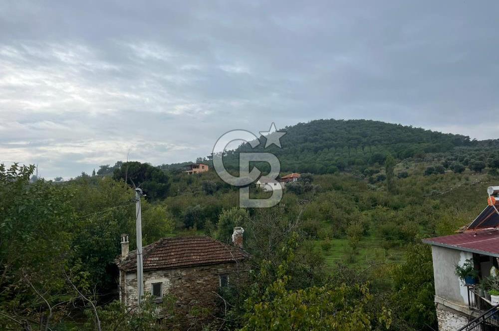 İzmir Bayındır Söğütören Satılık Taş Ev Ve Arsası